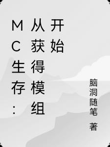 MC生存：從獲得模組開始